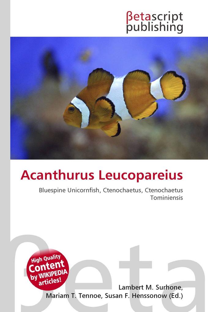 Acanthurus Leucopareius