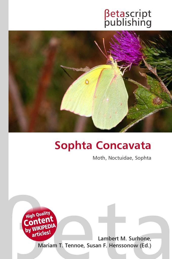 Sophta Concavata