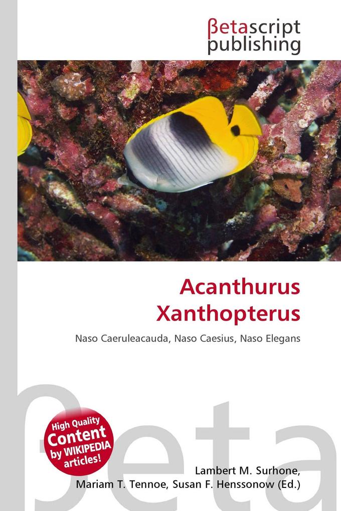 Acanthurus Xanthopterus