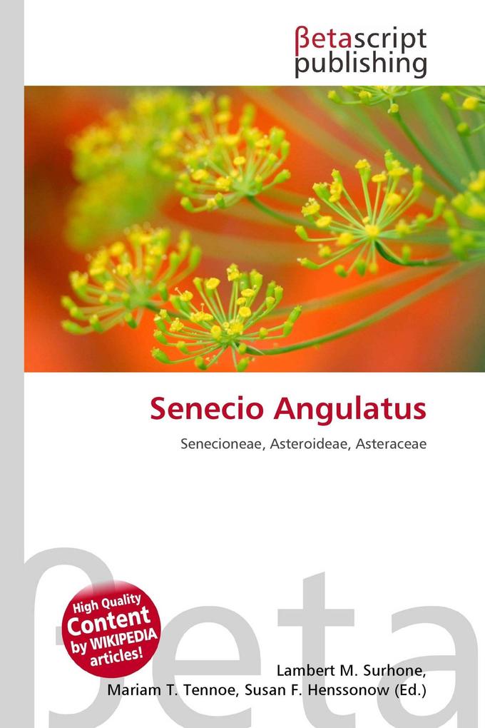 Senecio Angulatus