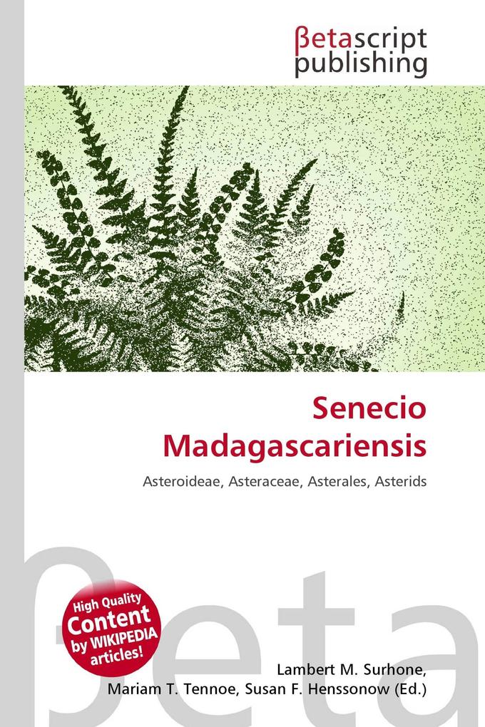 Senecio Madagascariensis