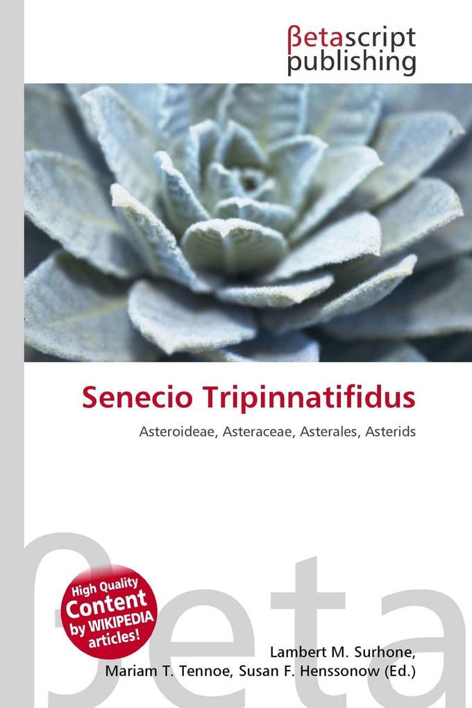 Senecio Tripinnatifidus
