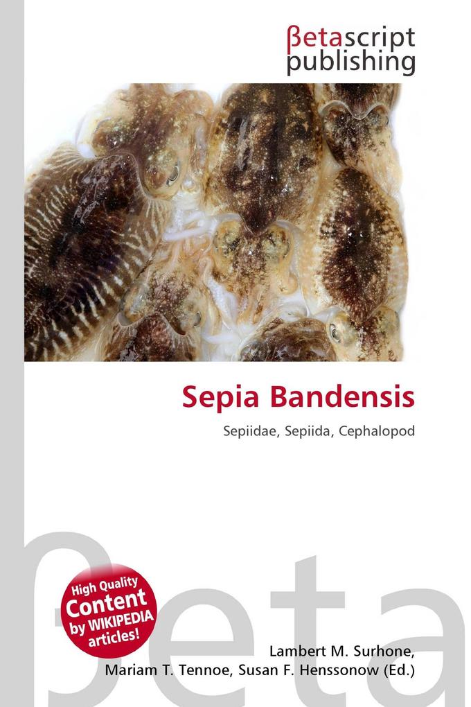 Sepia Bandensis