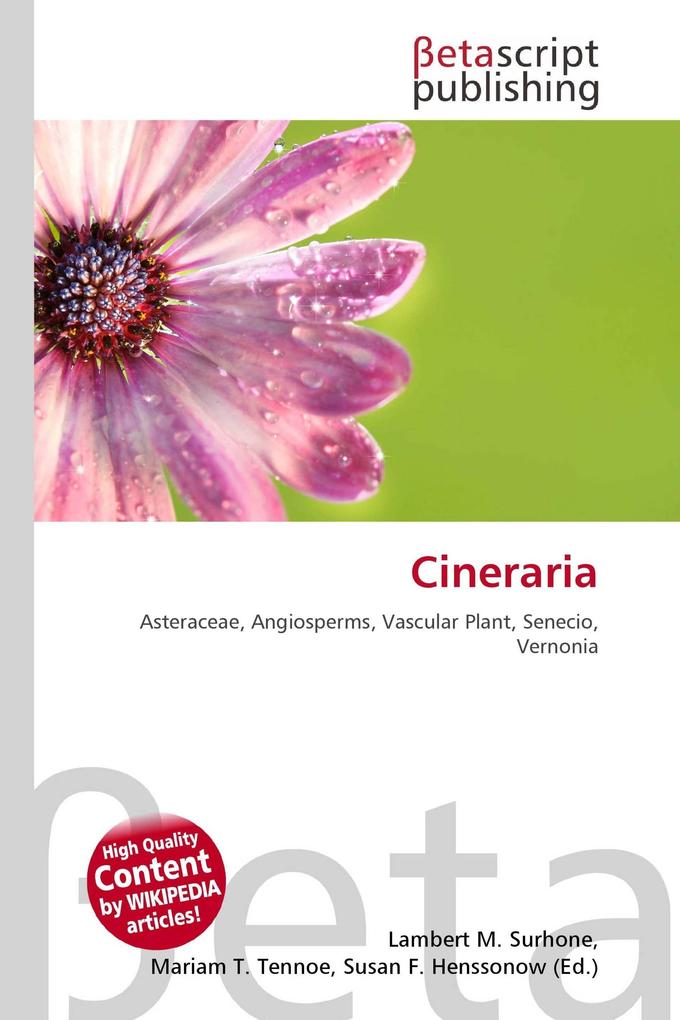 Cineraria