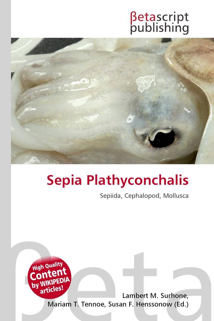 Sepia Plathyconchalis