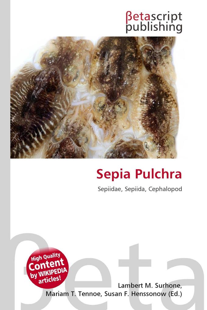 Sepia Pulchra