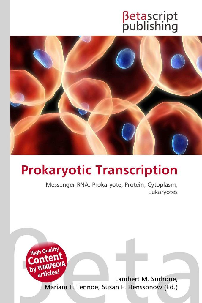 Prokaryotic Transcription