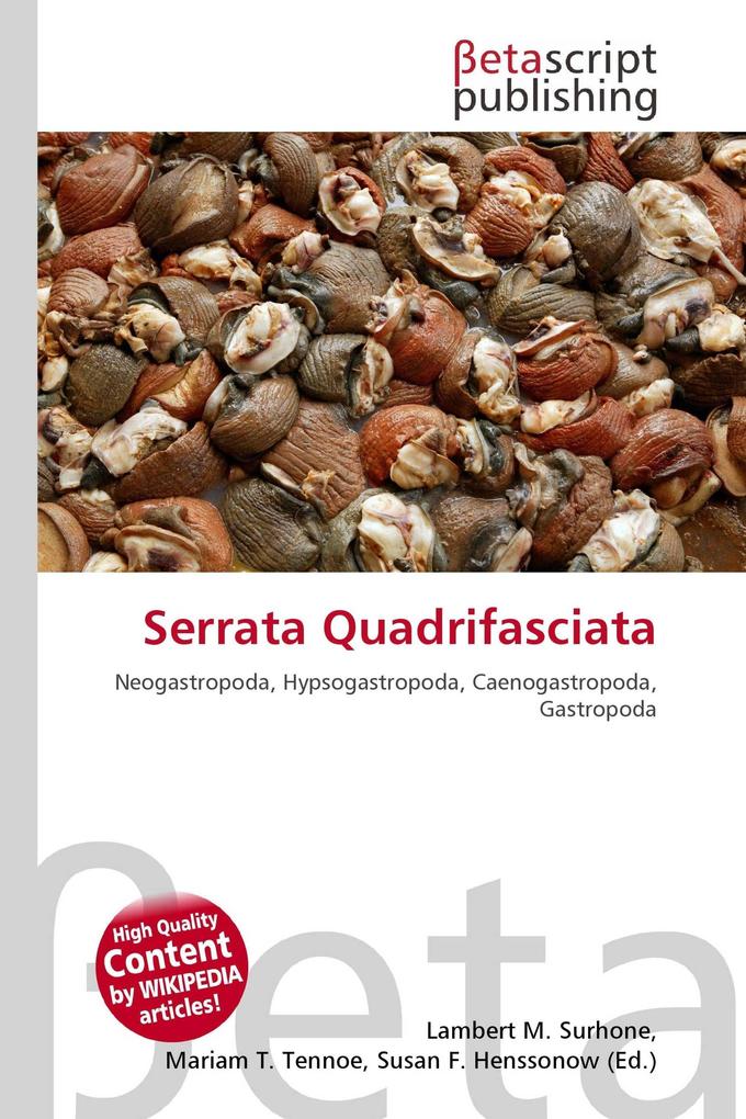 Serrata Quadrifasciata