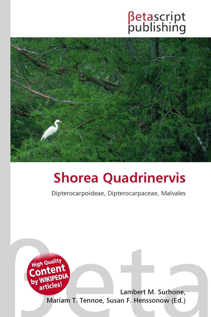 Shorea Quadrinervis