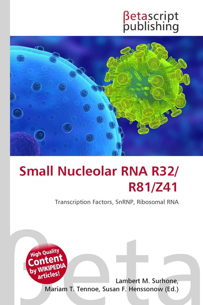 Small Nucleolar RNA R32/R81/Z41