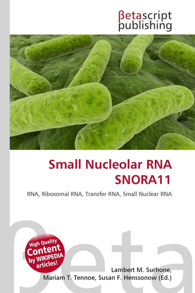 Small Nucleolar RNA SNORA11