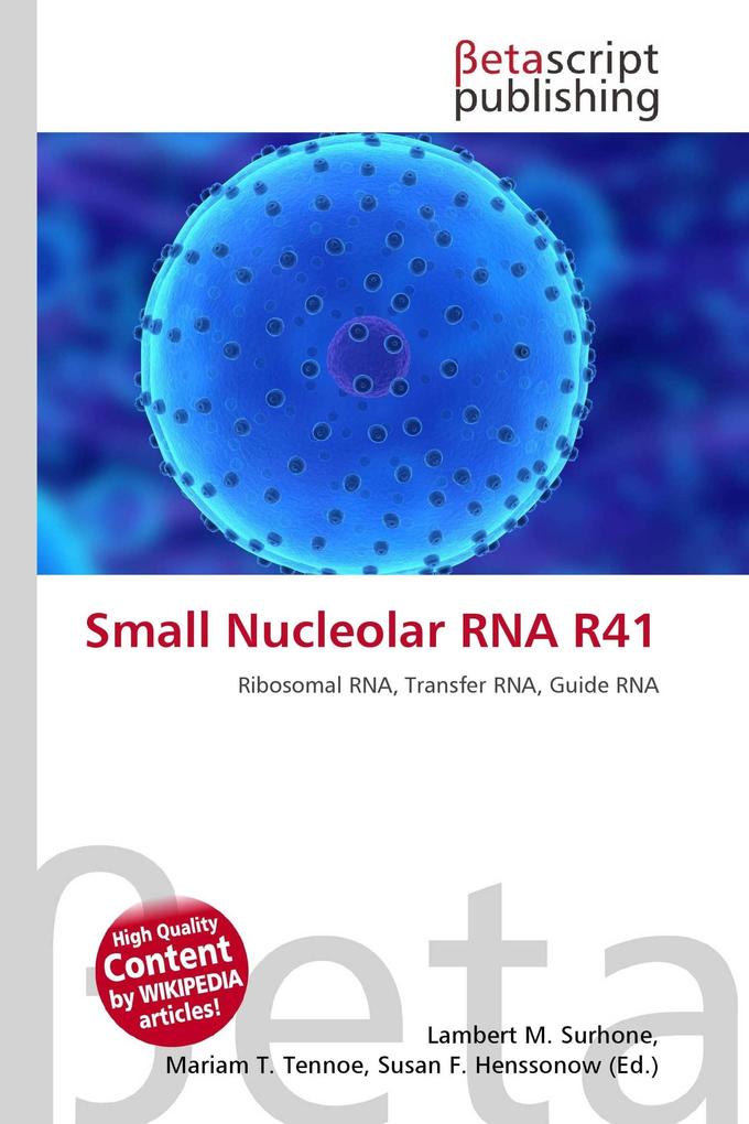 Small Nucleolar RNA R41