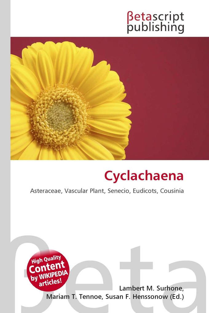 Cyclachaena