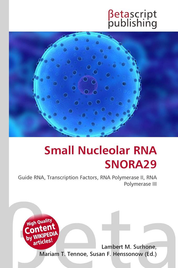 Small Nucleolar RNA SNORA29