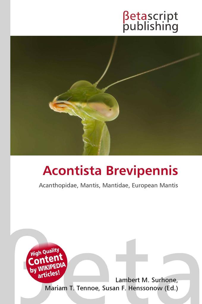 Acontista Brevipennis