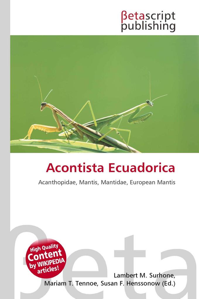 Acontista Ecuadorica