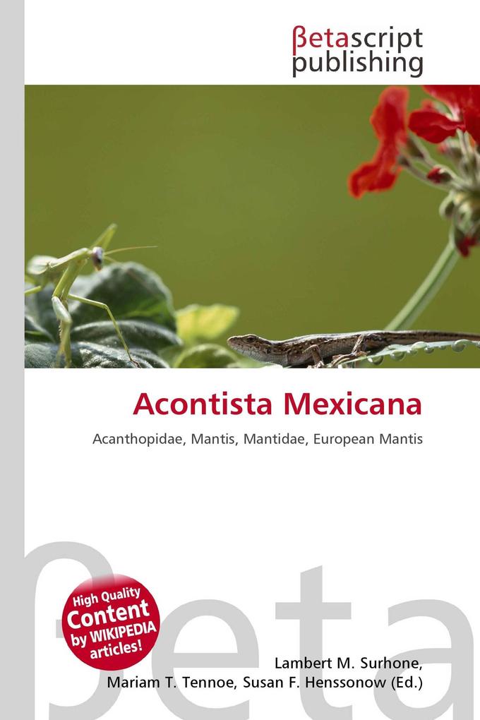 Acontista Mexicana