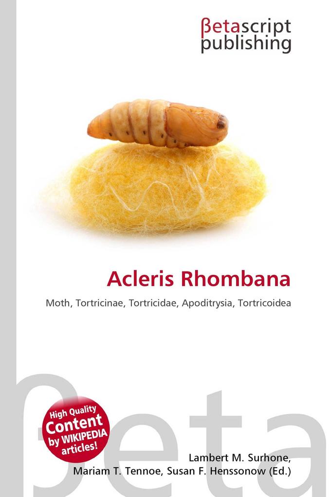 Acleris Rhombana