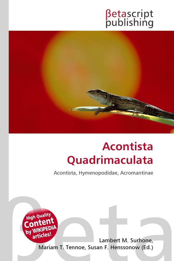 Acontista Quadrimaculata