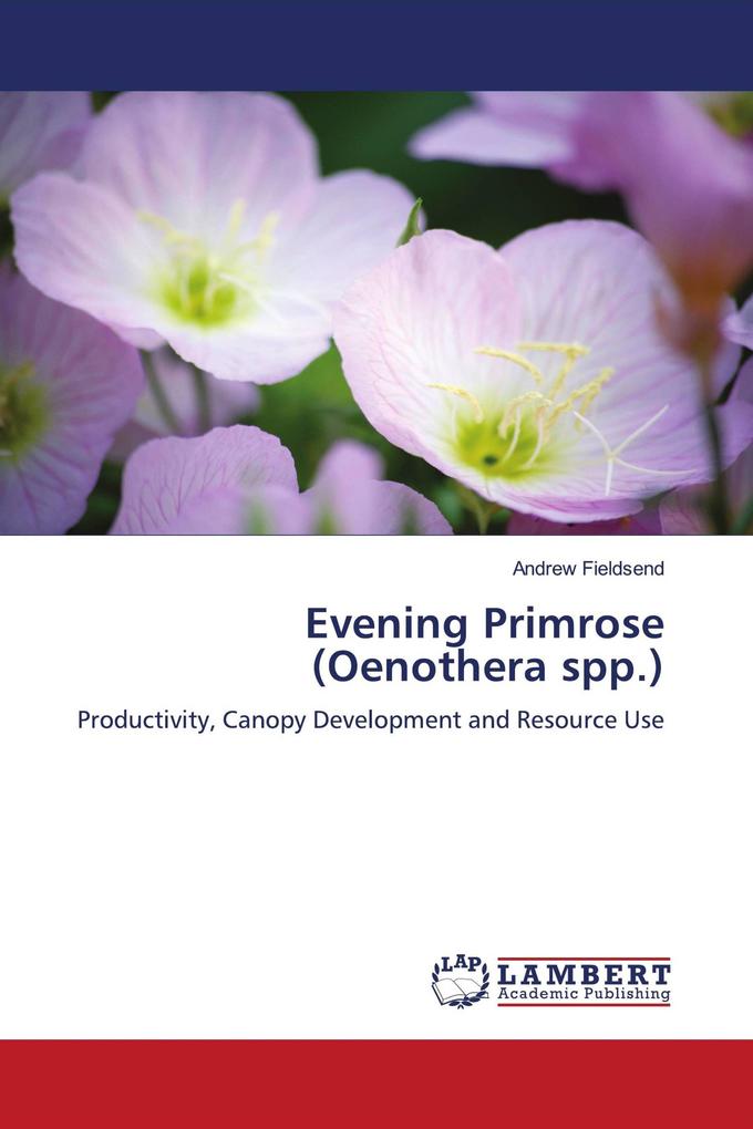 Evening Primrose (Oenothera spp.)