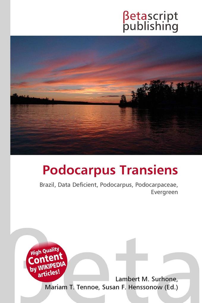Podocarpus Transiens