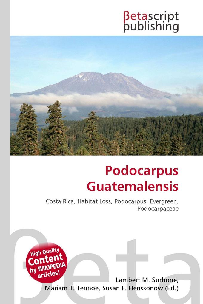 Podocarpus Guatemalensis