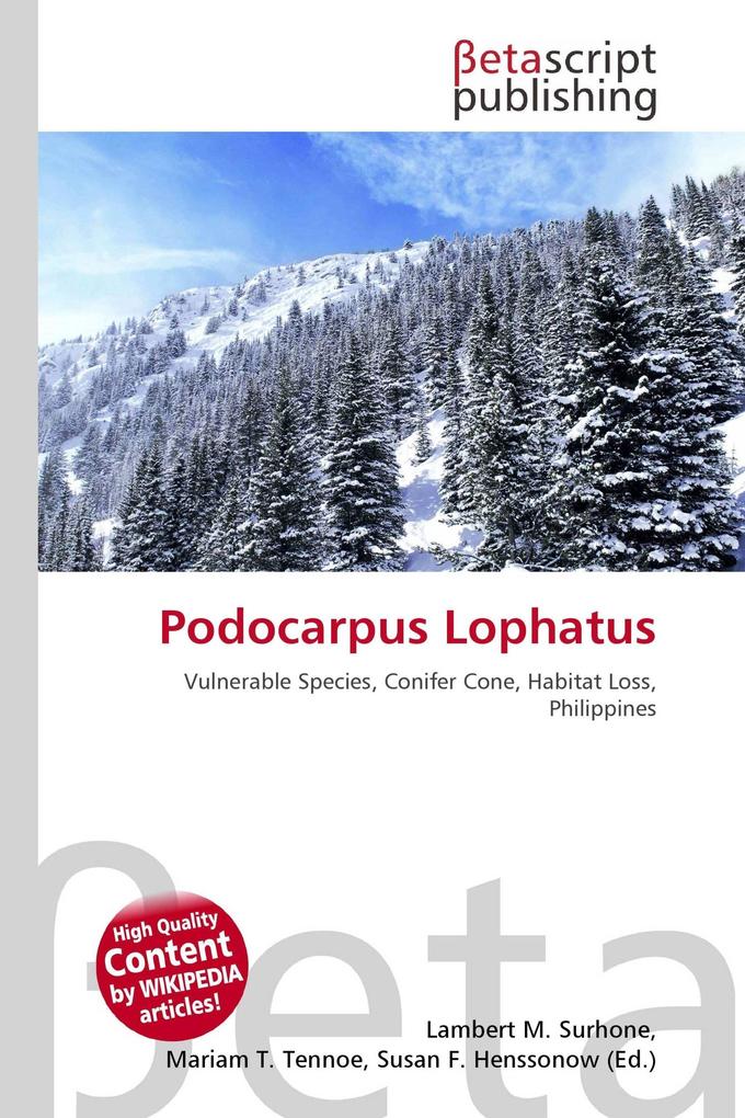 Podocarpus Lophatus