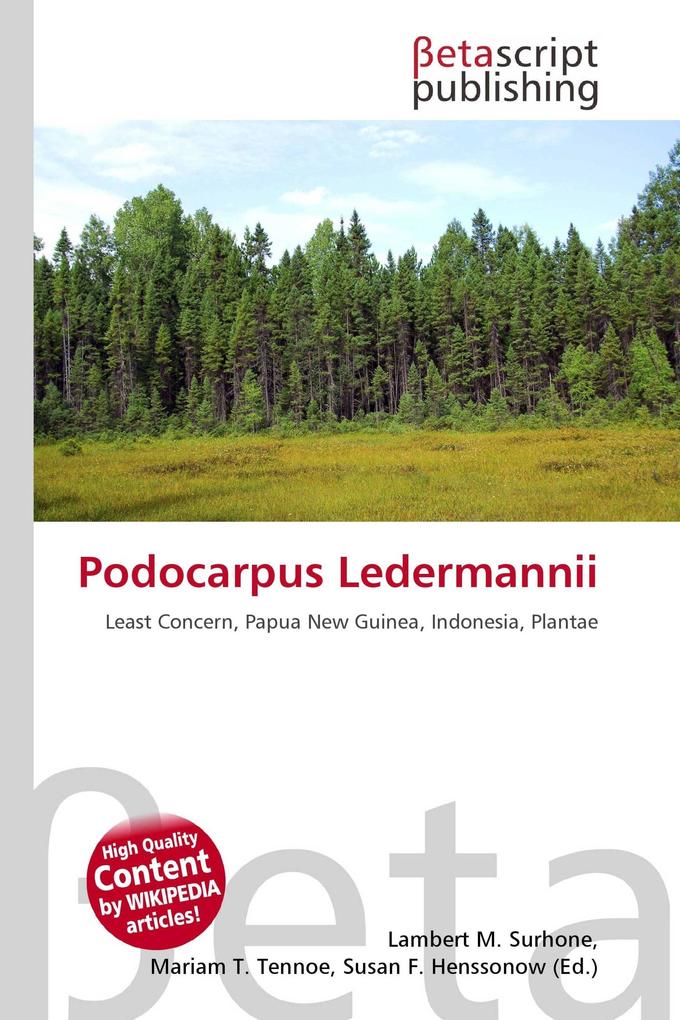 Podocarpus Ledermannii