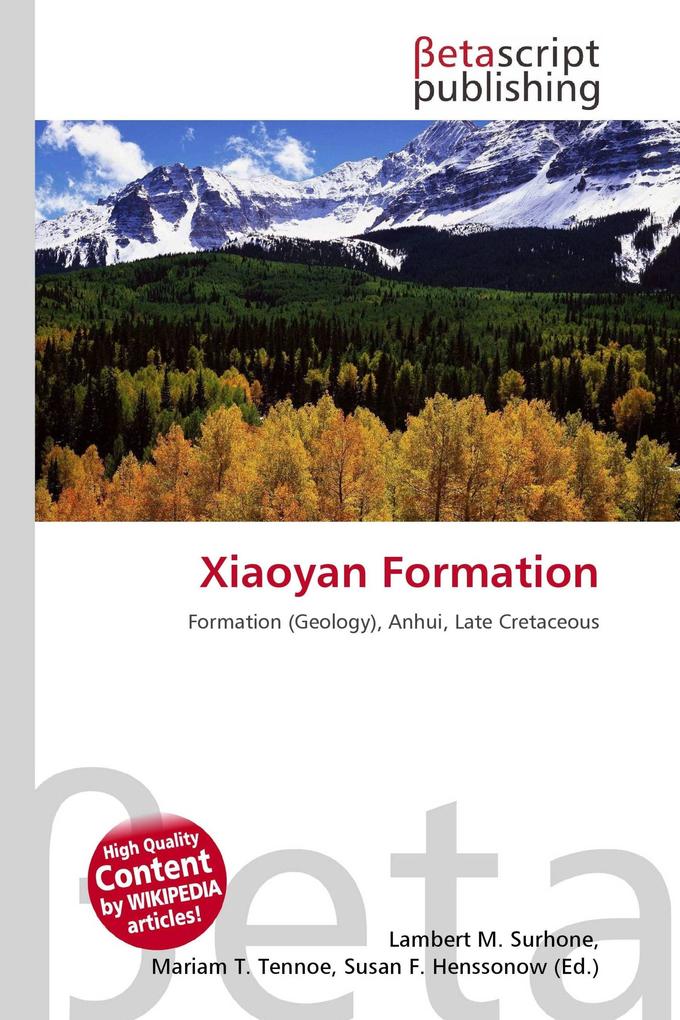 Xiaoyan Formation