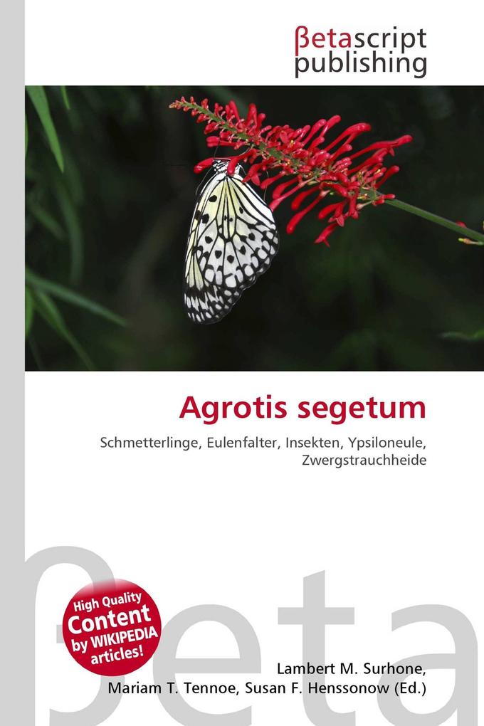 Agrotis segetum