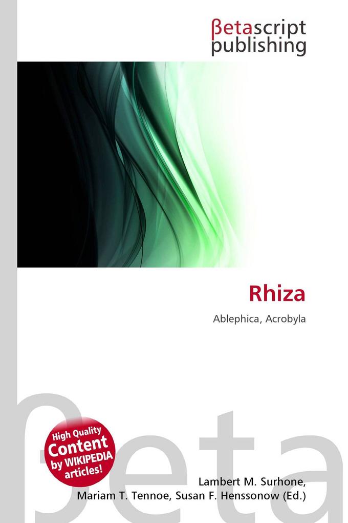 Rhiza