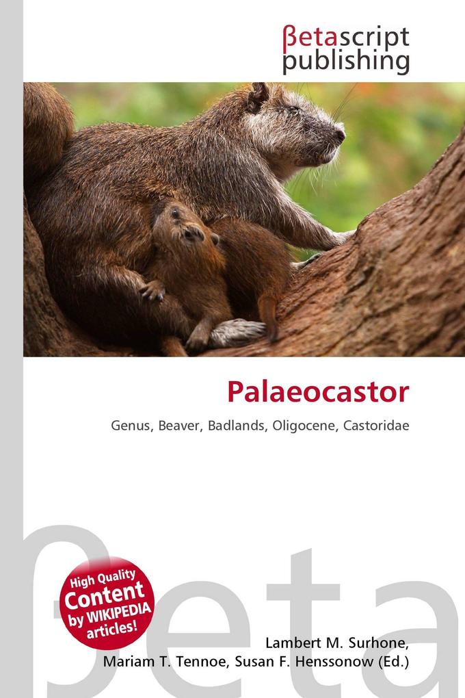 Palaeocastor