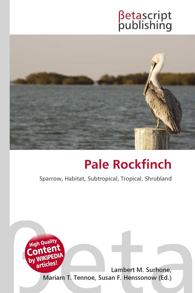 Pale Rockfinch