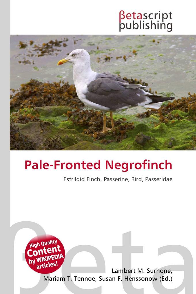 Pale-Fronted Negrofinch