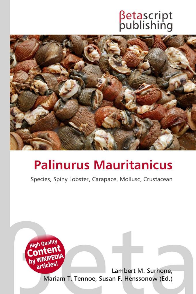 Palinurus Mauritanicus