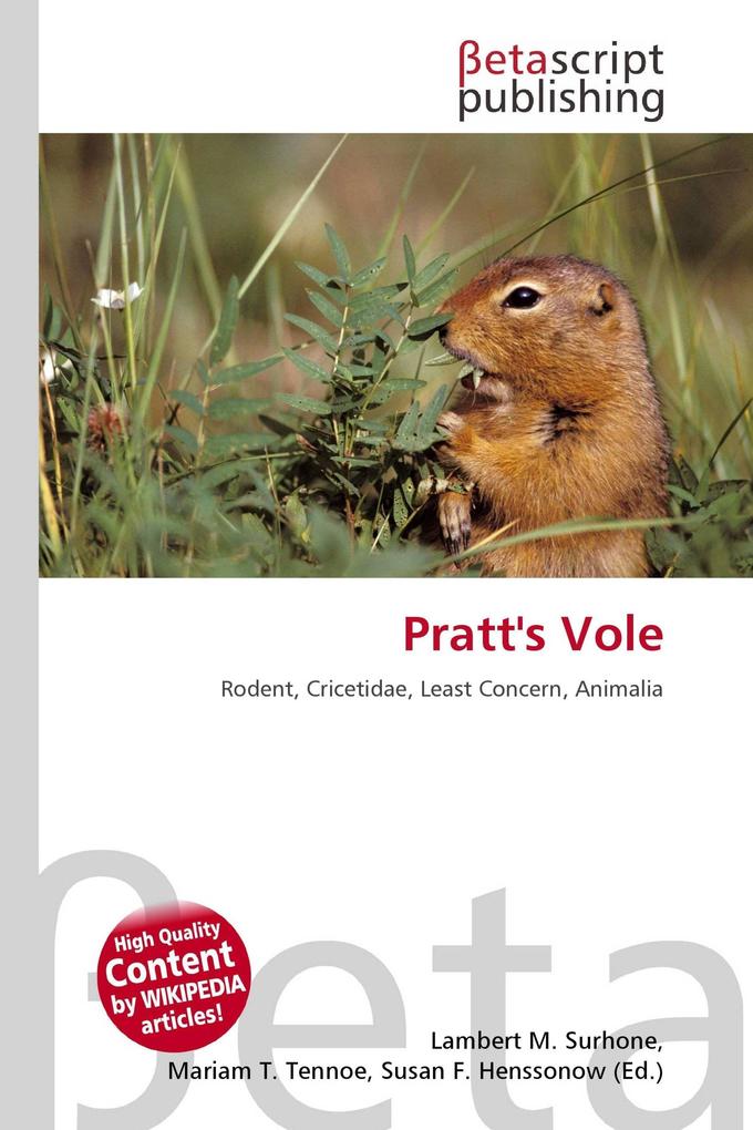 Pratt's Vole