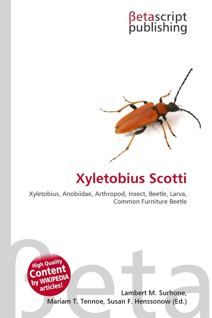 Xyletobius Scotti