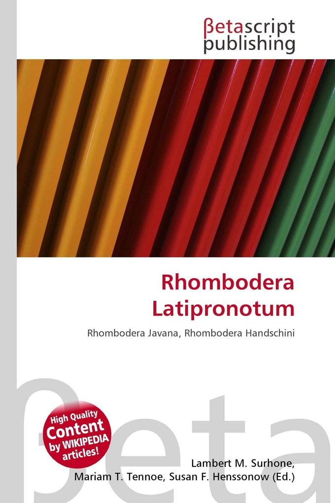 Rhombodera Latipronotum