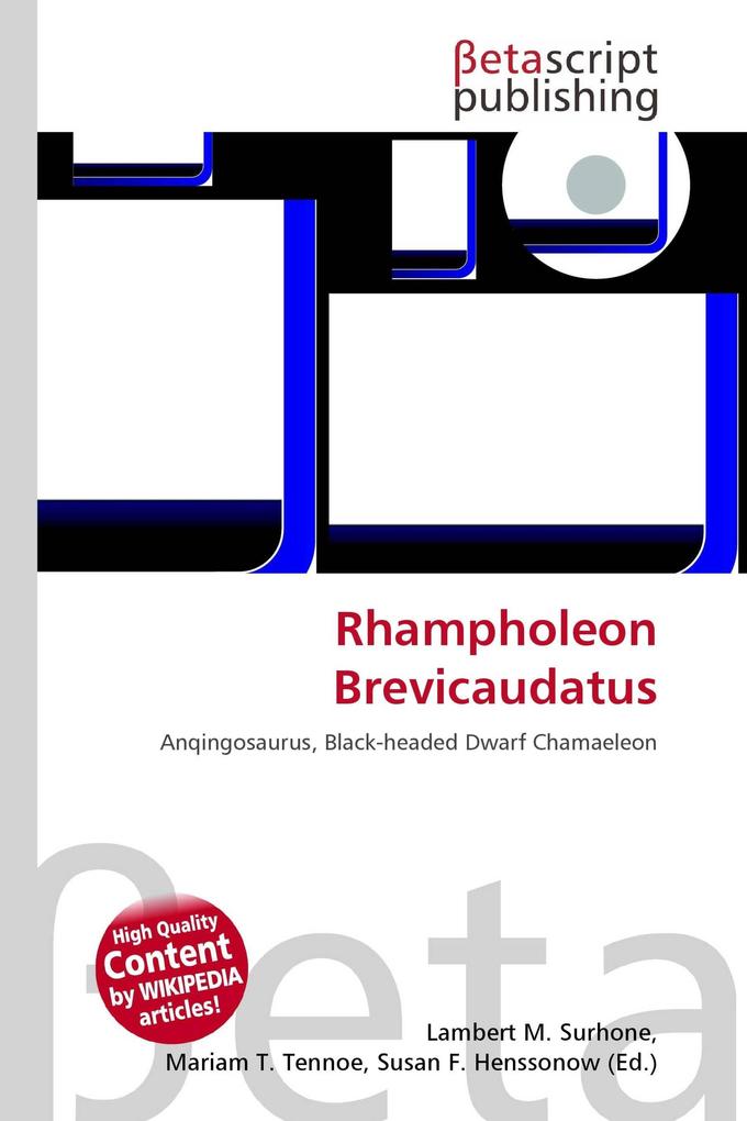 Rhampholeon Brevicaudatus