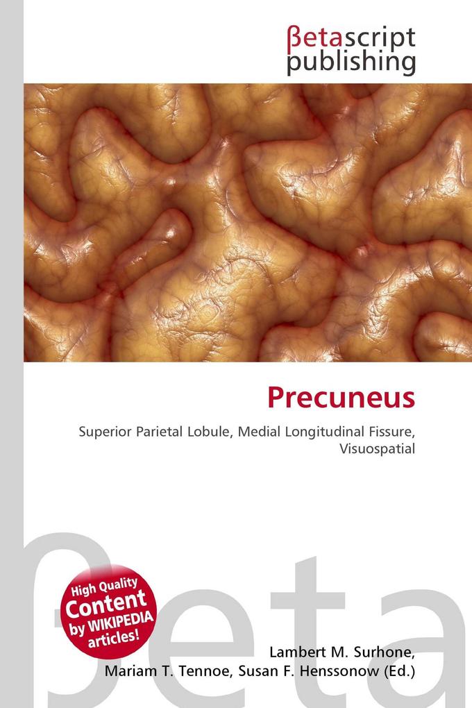 Precuneus