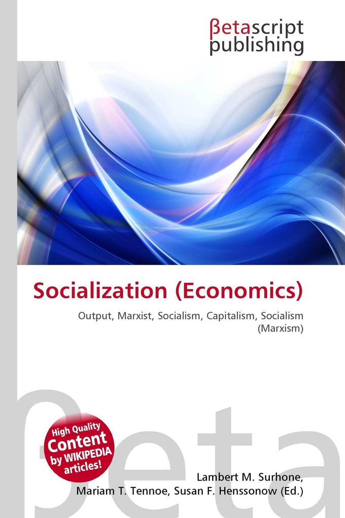 Socialization (Economics)