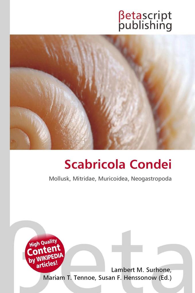 Scabricola Condei