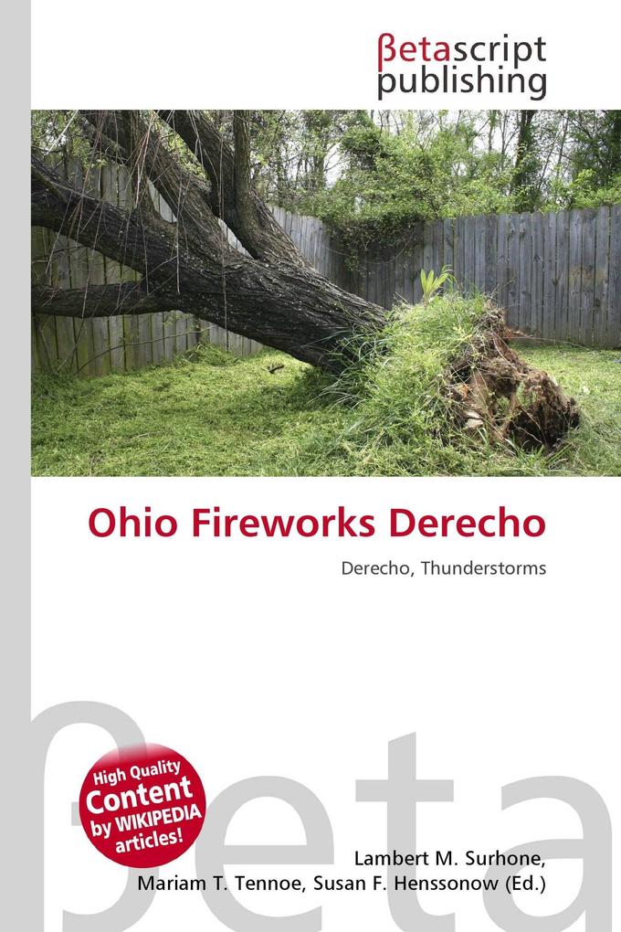 Ohio Fireworks Derecho