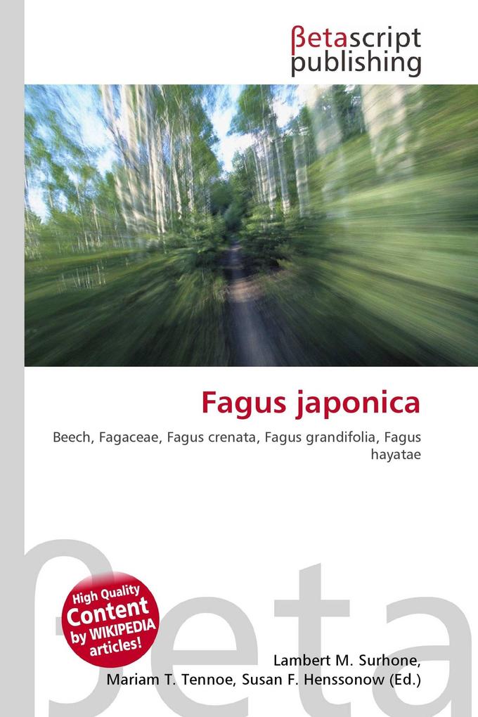 Fagus japonica