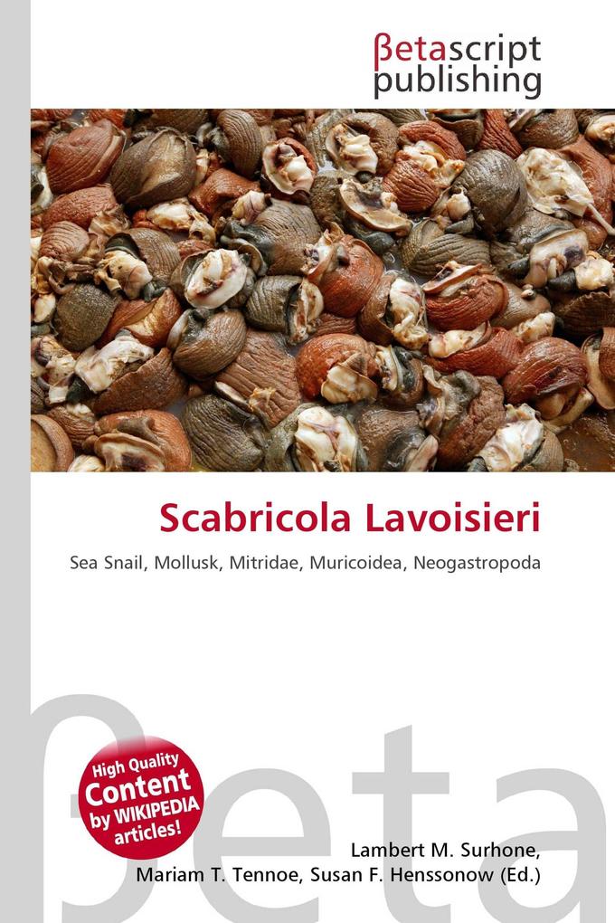 Scabricola Lavoisieri