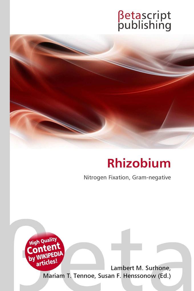 Rhizobium