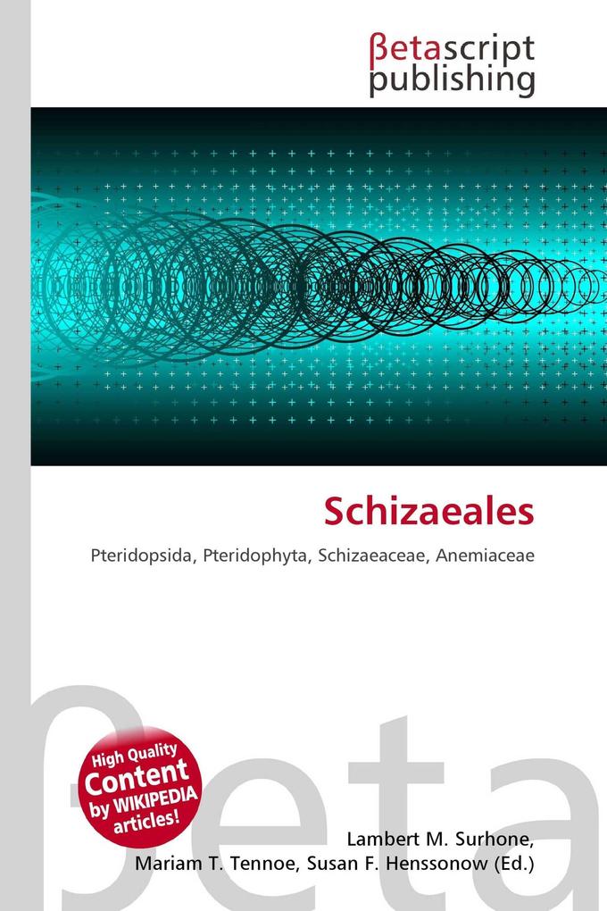 Schizaeales