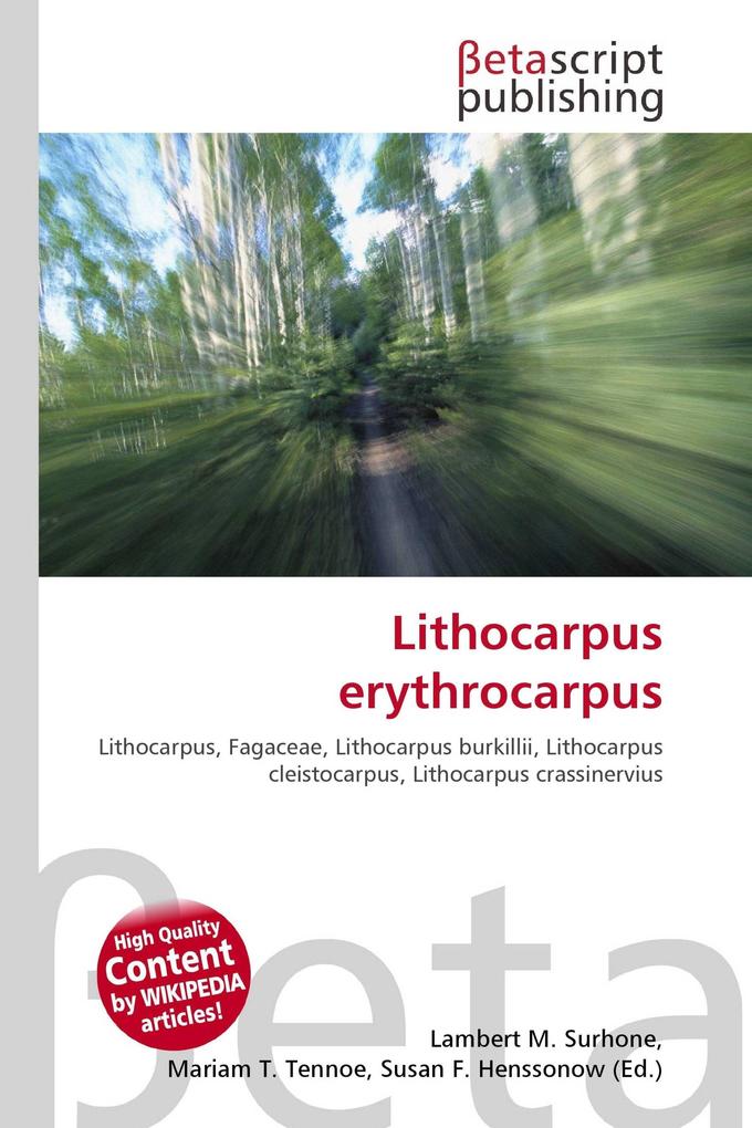 Lithocarpus erythrocarpus