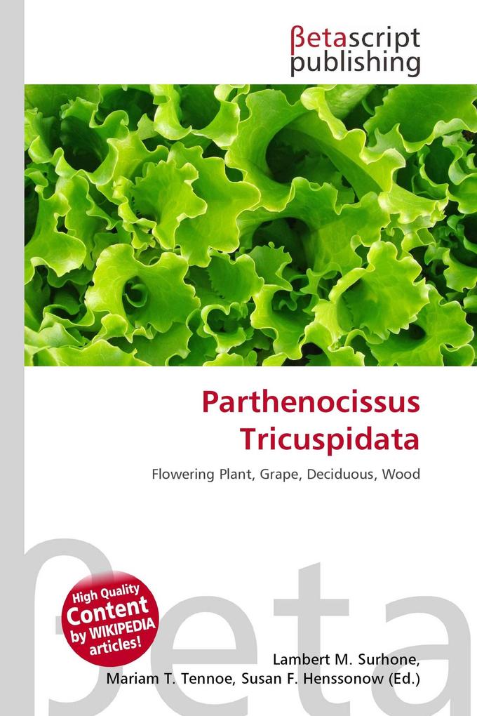 Parthenocissus Tricuspidata