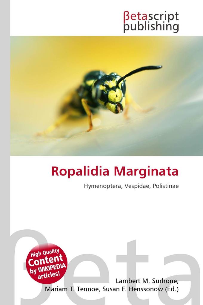 Ropalidia Marginata
